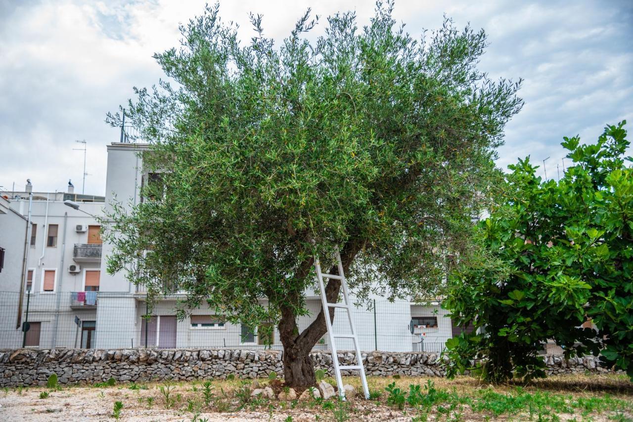 Trulli Dimora Palmisano Leilighet Locorotondo Eksteriør bilde